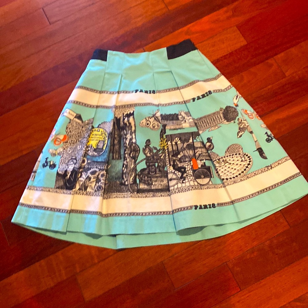 Anthropologie Drawing by Florence Balducci skirt